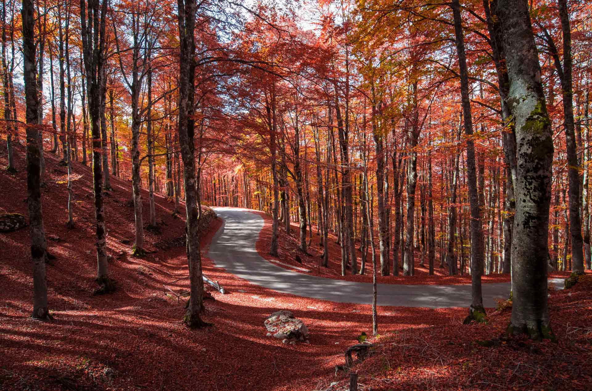 5 mete del foliage in Ciociaria per scatti WOW!