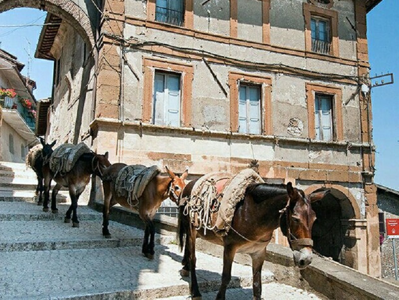 Artena (RM) il borgo