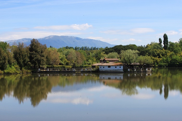 Veduta del Monumento Naturale “Selva di Paliano e Mola di Piscoli”