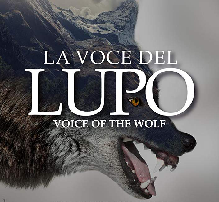 La voce del Lupo