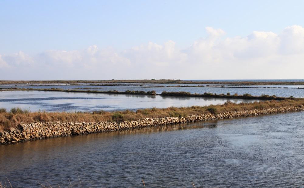 La Riserva Naturale delle Saline di Tarquinia