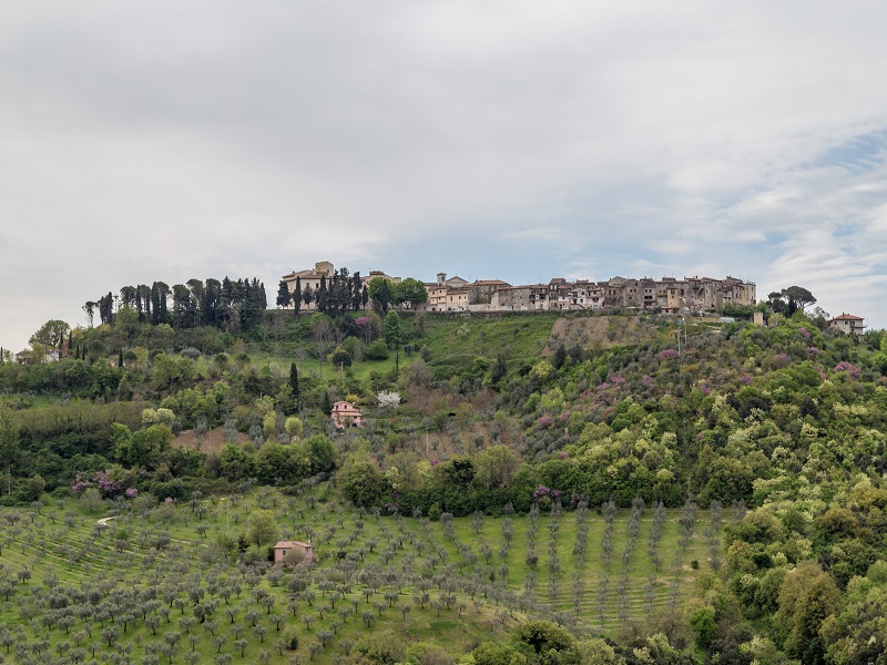 A Castelfranco, Cantine sotto le Stelle