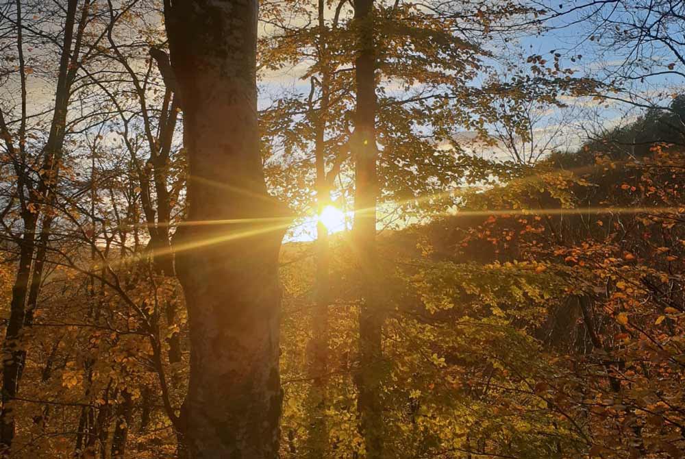 Parco Regionale dei Monti Simbruini