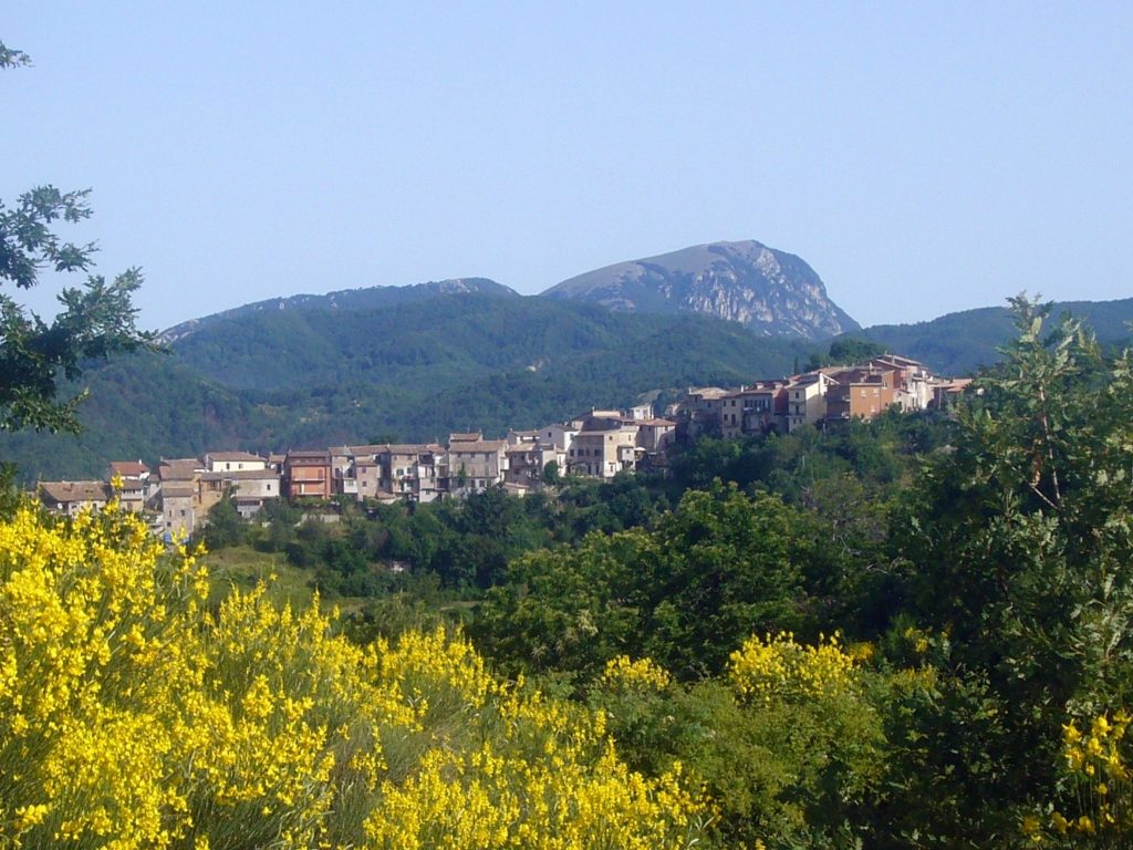 Nespolo tra il monte Navegna e Monte Cervia