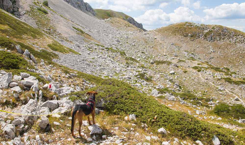 Lungo il Terminillo