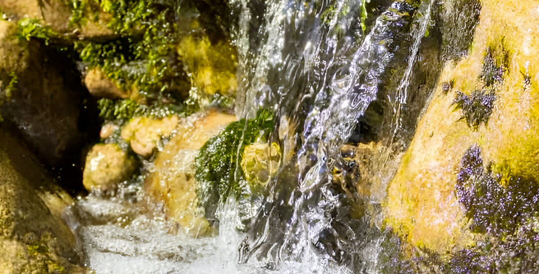 Acqua di Nepi