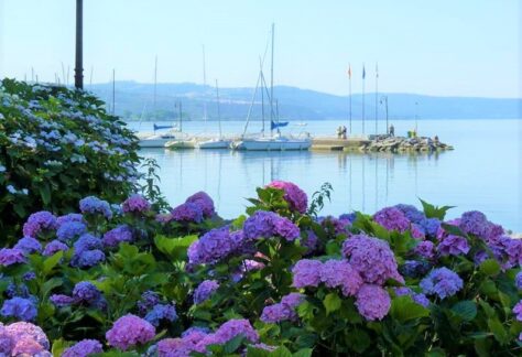 Bolsena