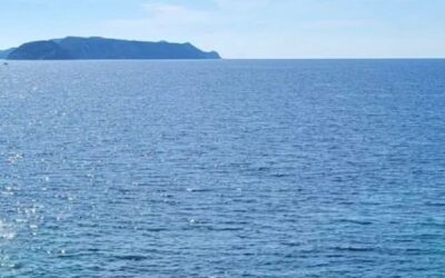 Balena tra Terracina e Ponza. Che spettacolo!