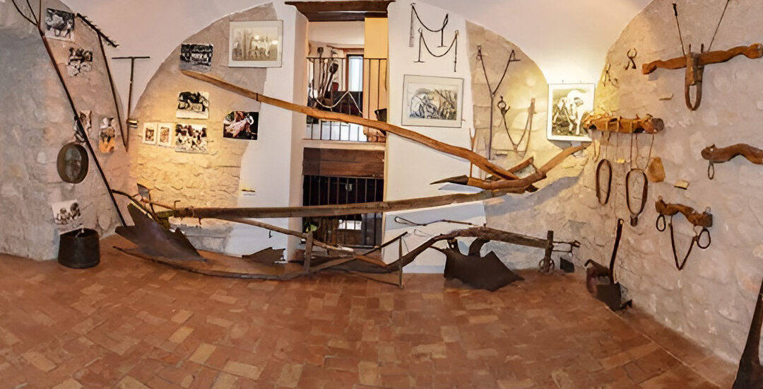 Museo della civiltà contadina e dell’Ulivo di Pastena