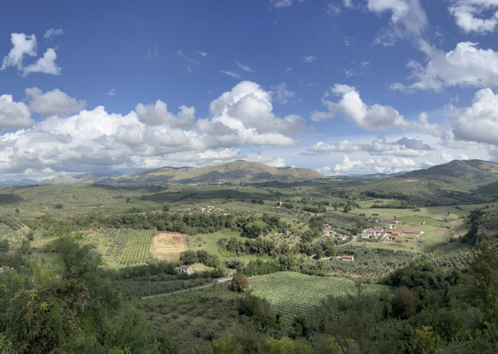 Montelibretti: panorama