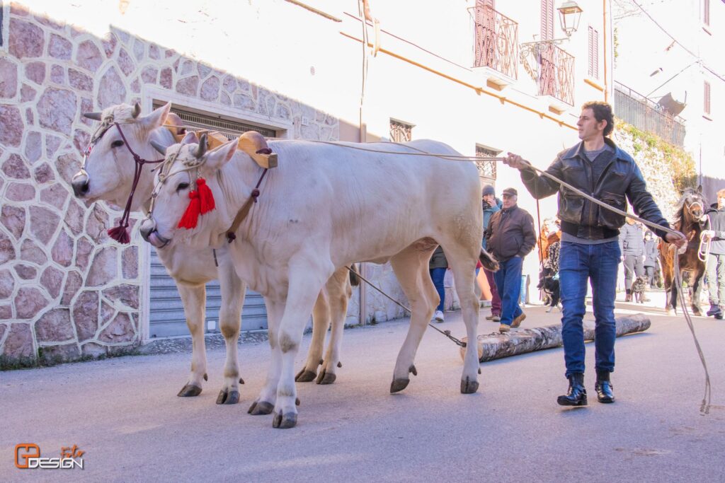 Festa di Sant'Antonio Abate a Posta - FB @santantonioposta