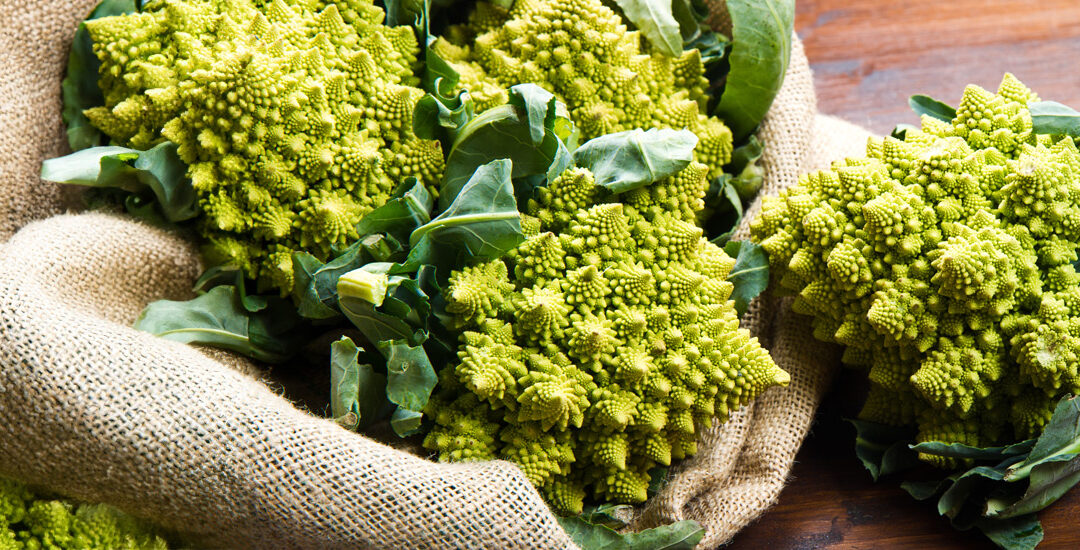 Il Broccolo Romanesco