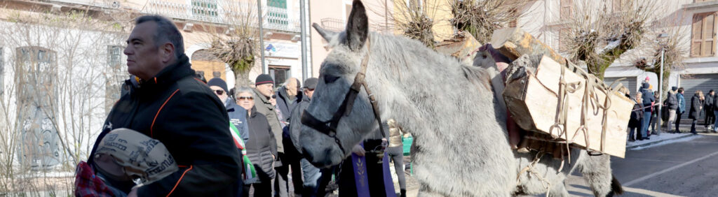 Asinello con proprietario alla sfilata per il battesimo degli animali - Foto GP Foto Design