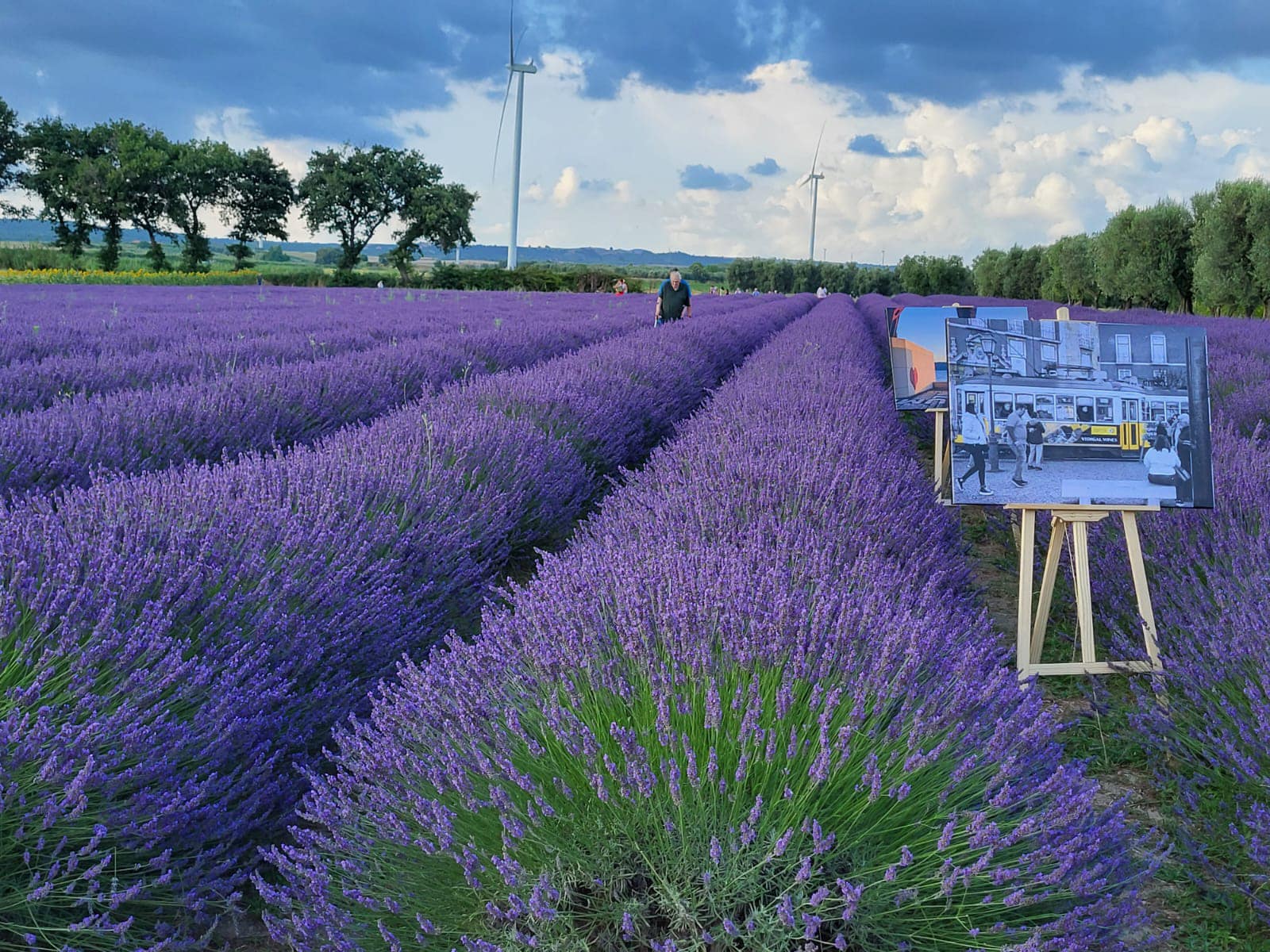 Terme in Fiore nell'area archeologica Terme di Traiano a Civitavecchia - Facebook @termeinfiore