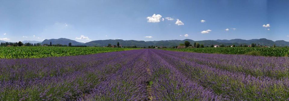 LavanDay nel cuore della Valle Santa Reatina