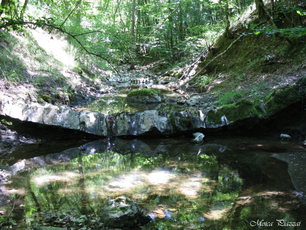 Il torrente Acquachiara all'interno del sentiero omonimo, foto da www.parchilazio.it
