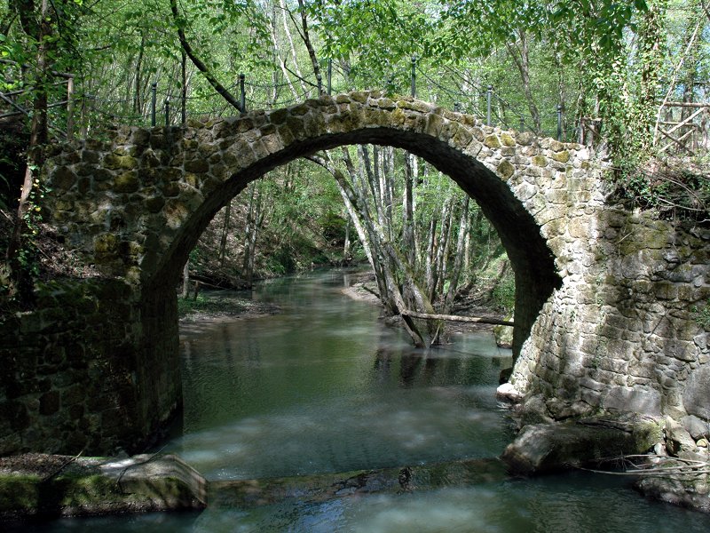 Il Ponte vicino al Mulino nel Sentiero Natura del Fiore, foto da www.parchilazio.it