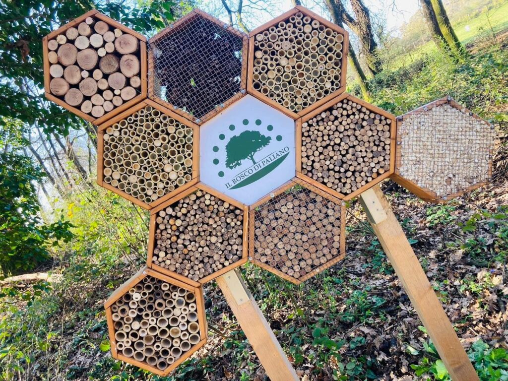 Il Bee Hotel, rifugi artificiali costruiti dall'uomo per le api