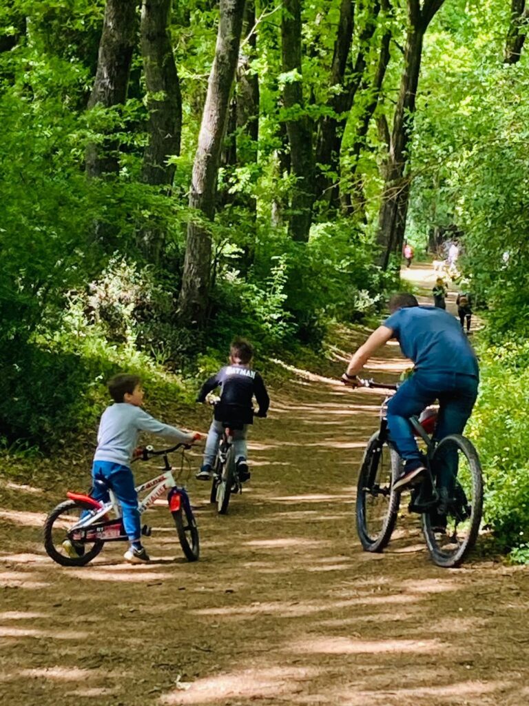 In bici lungo i 5 km di sentieri del Bosco, foto da @IlBoscodiPaliano