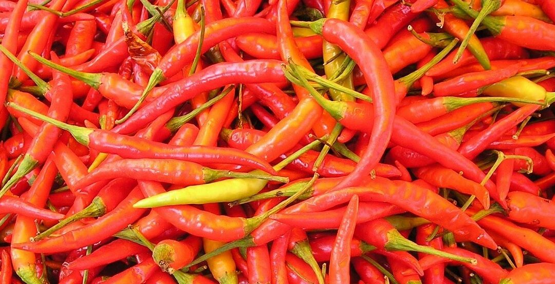 Rieti Cuore Piccante alla Fiera del Peperoncino