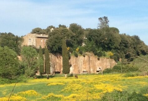 Il parco archeologico di Sutri