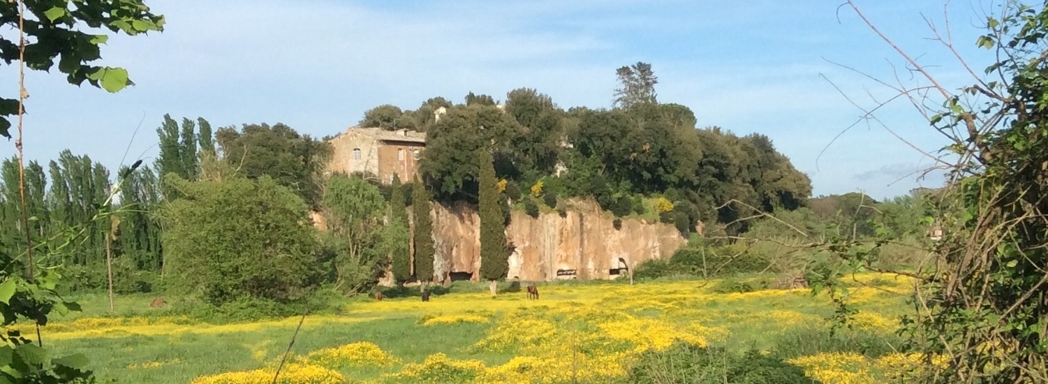 Il parco archeologico di Sutri