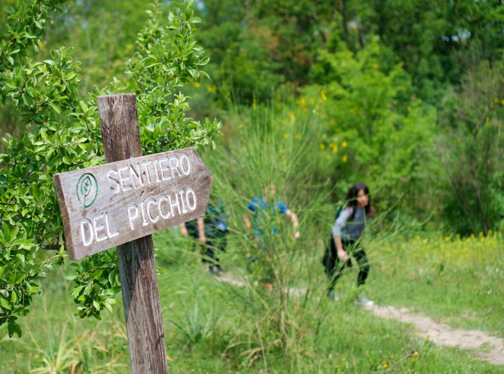 I sentieri nel Parco, foto da Facebook@RiservaNaturaledell'Insugherata