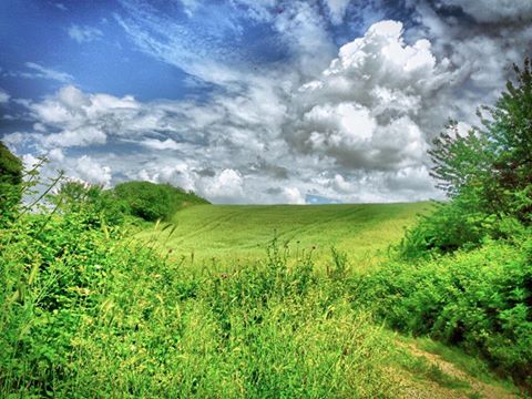 Scorci di natura selvaggia nel parco - foto da wikipedia