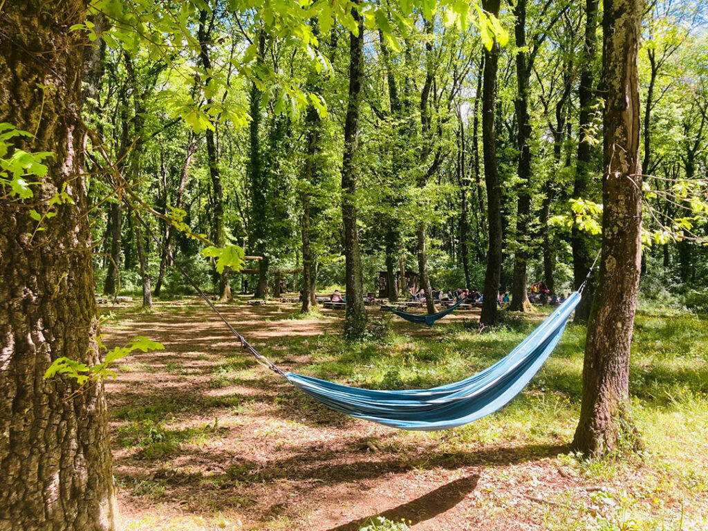 Un'amaca nel Bosco per un momento di relax foto @IlBoscodiPaliano