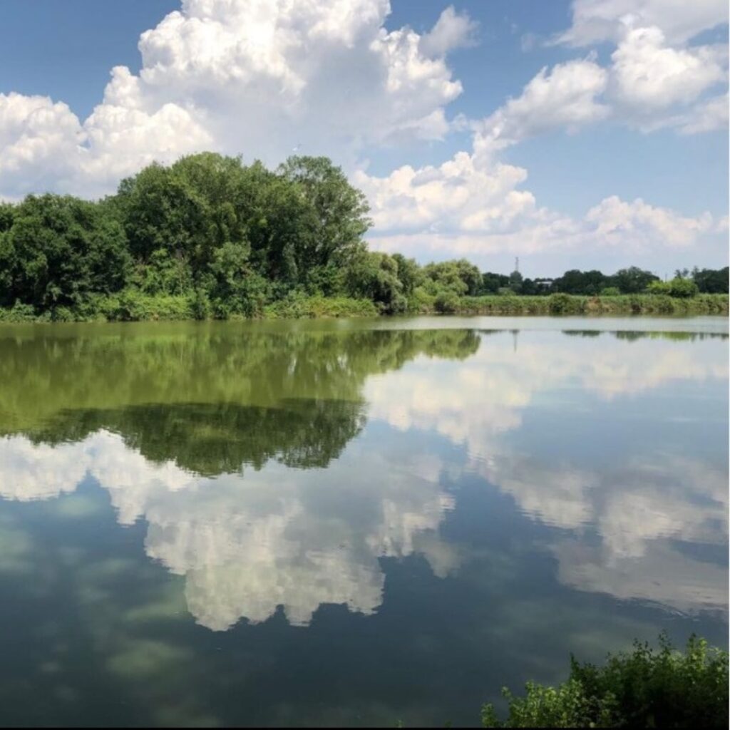 lago di San Giovanni Incarico - foto @nicochillemi