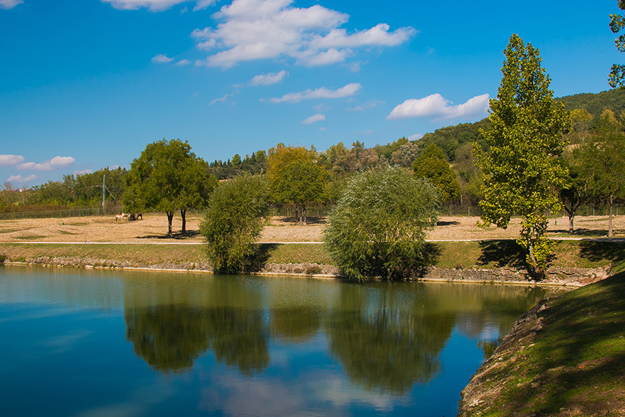 Parco fluviale del fiume Tevere vicino Todi in Umbria