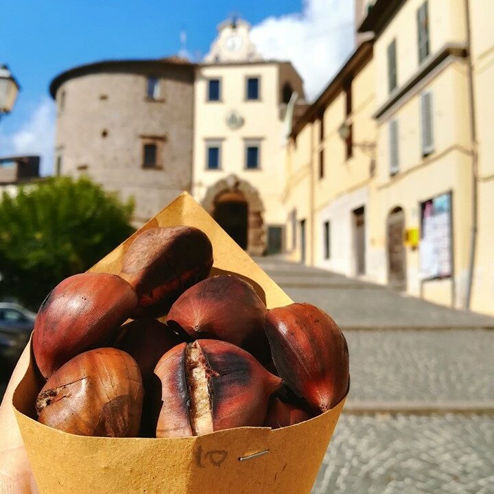 la castagna DOP di Vallerano - www.festacastagna.it