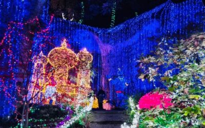 Le luminarie al Parco delle Favole di Ariccia