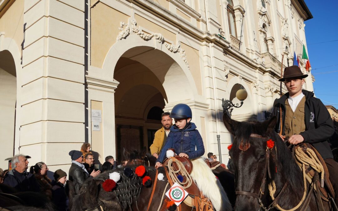 I Cavalli Infiocchettati a Rieti